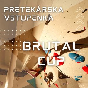 Sútažna vstupenka